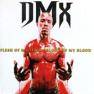 DMX - 