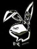 Playboy bunnys - 