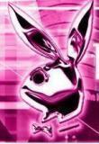 Playboy bunnys - 