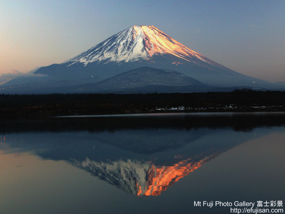 FujiSan - 