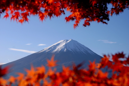 FujiSan - 