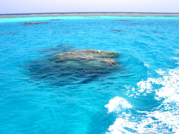 Brayka Bay Marsa Alam September 2007 - 