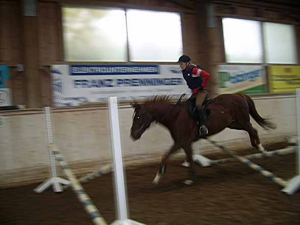 reiten - 