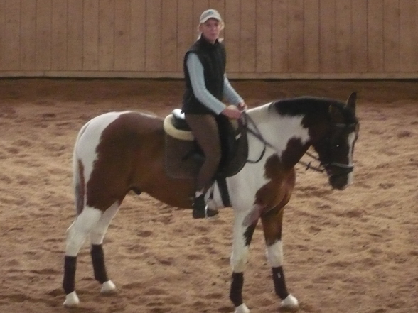 reiten - 