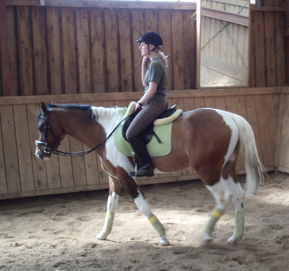 reiten - 