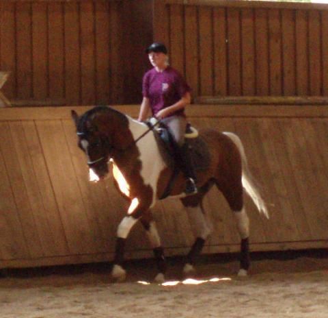 reiten - 