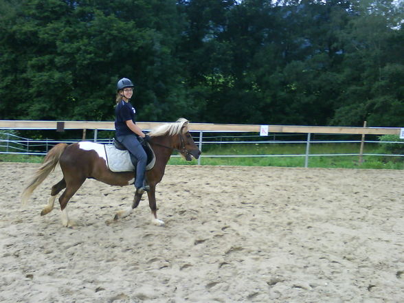 reiten - 