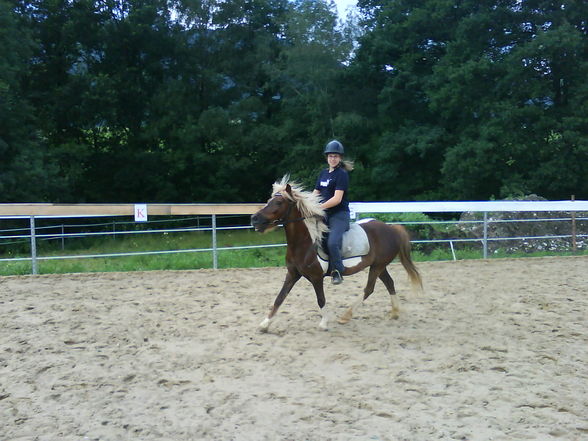 reiten - 