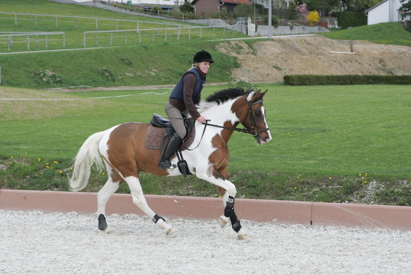 reiten - 