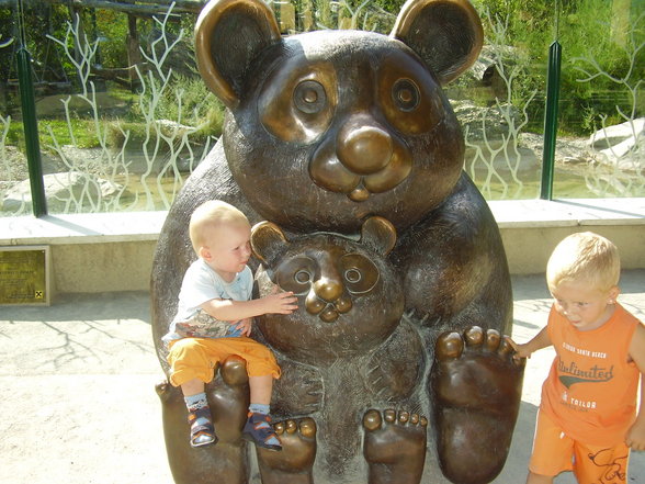 Tierpark Schönnbrunn in Wien 06.08. - 