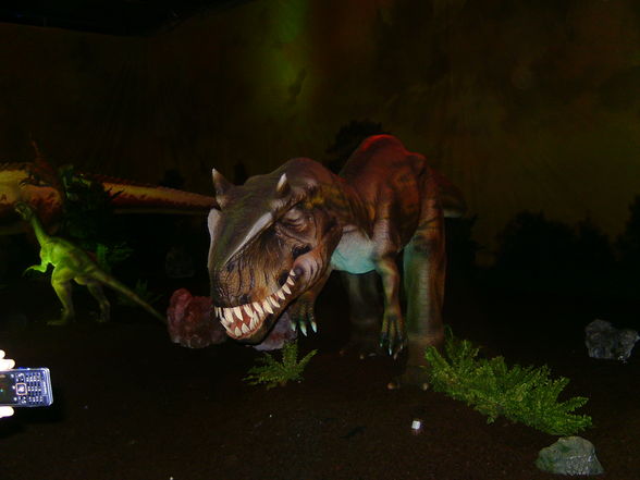 Dino-Austellung in Wels 10.01.2010! - 