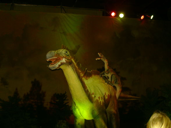 Dino-Austellung in Wels 10.01.2010! - 