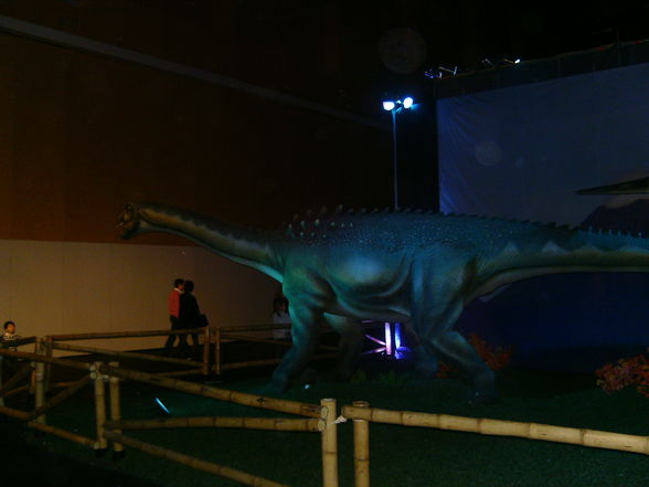 Dino-Austellung in Wels 10.01.2010! - 