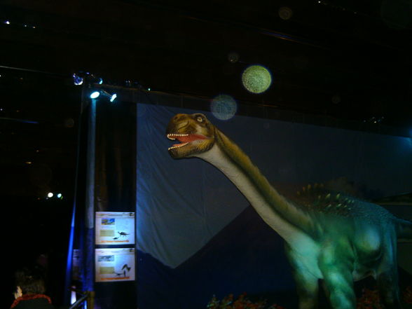 Dino-Austellung in Wels 10.01.2010! - 