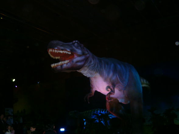 Dino-Austellung in Wels 10.01.2010! - 