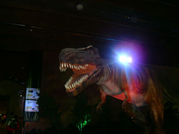 Dino-Austellung in Wels 10.01.2010! - 