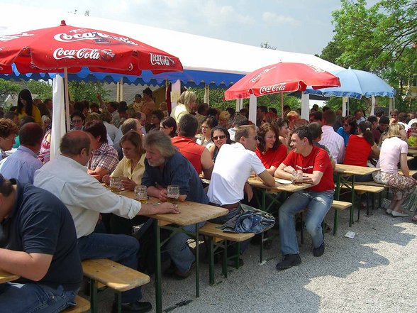 Maibaum aufstellen - 