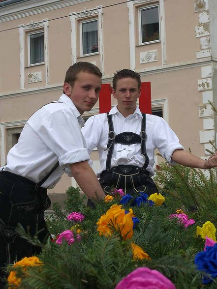 Maibaum aufstellen - 