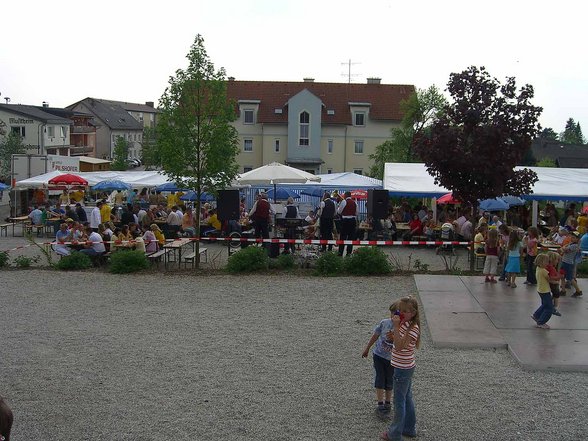 Maibaum aufstellen - 