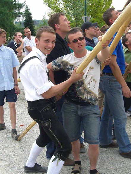 Maibaum aufstellen - 