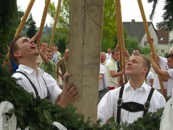 Maibaum aufstellen - 