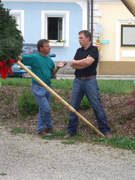 Maibaum aufstellen - 