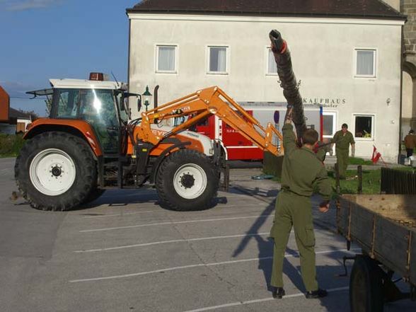 Maibaumaufstellen in Allerheiligen - 