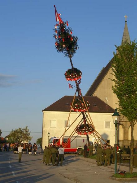 Maibaumaufstellen in Allerheiligen - 