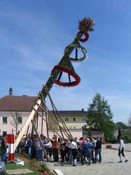 Maibaumsetzen der LJ - 