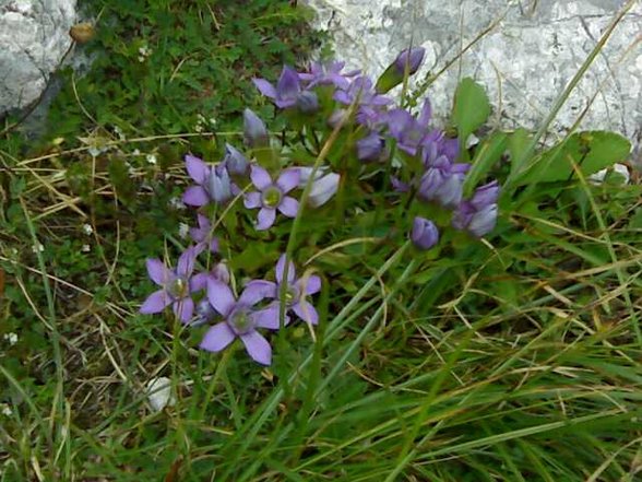 Bergwanderung gr. Priel - 