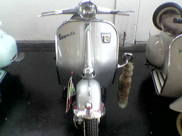 **VESPA--nèst pas?** - 