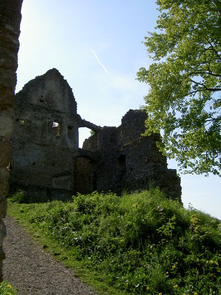 Ausflug zur Ruine in Losenstein - 