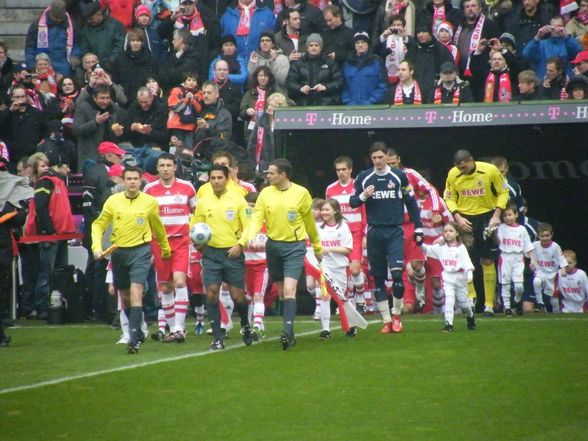 FC Bayern vs. Köln - 