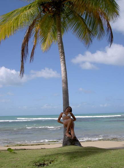 KARIBIK 2007 - Dominikanische Republik - 