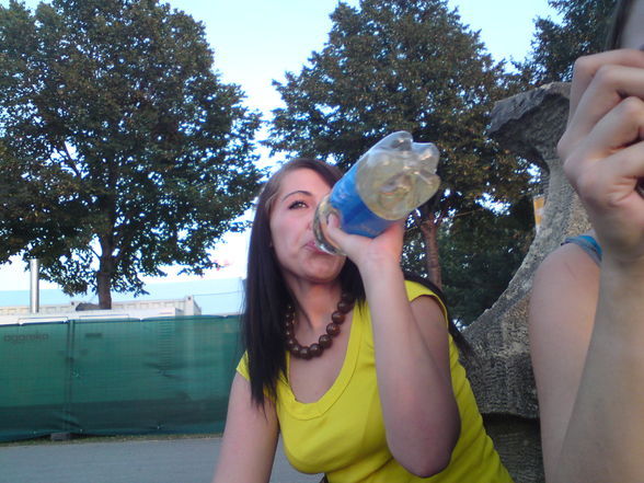 Donauinselfest 2008 - 