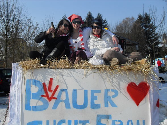 Fasching 2010 - 