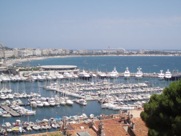 Cannes 08 !° - 