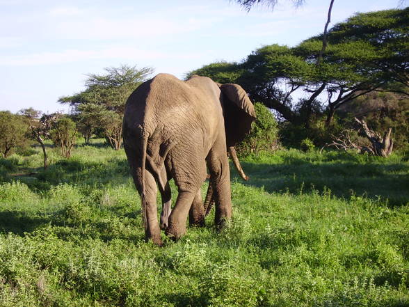 Kenia 2006 - 