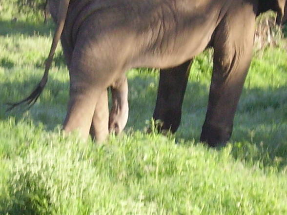 Kenia 2006 - 