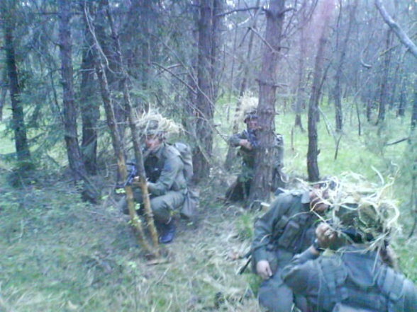 Das Österreichische Bundesheer - 