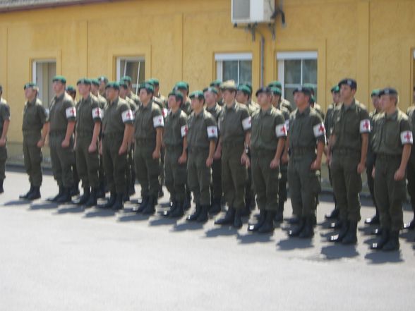 Das Österreichische Bundesheer - 