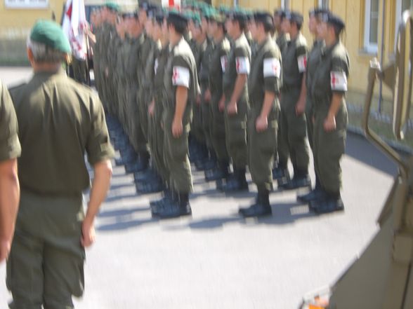 Das Österreichische Bundesheer - 