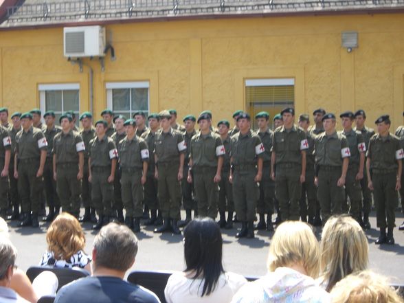 Das Österreichische Bundesheer - 