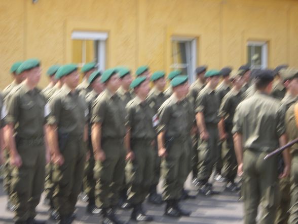 Das Österreichische Bundesheer - 