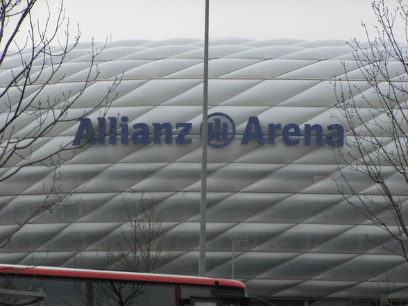 ^^AlliAnZ AreNA^^ - 