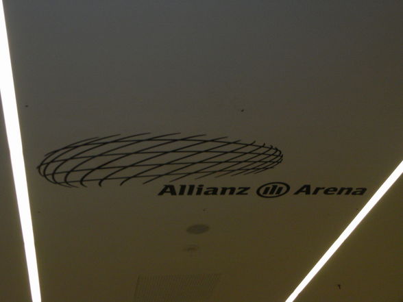 ^^AlliAnZ AreNA^^ - 