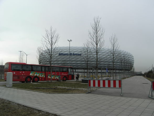 ^^AlliAnZ AreNA^^ - 