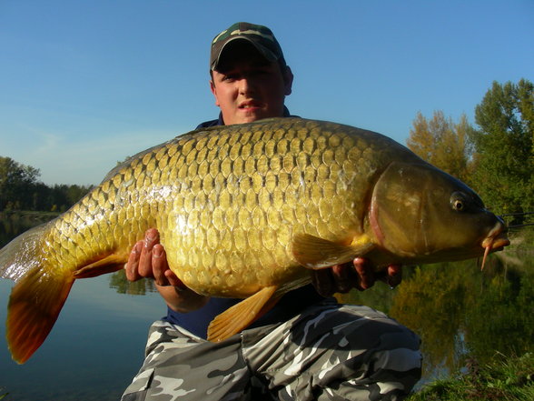 Fischen Carp I 2006 - 