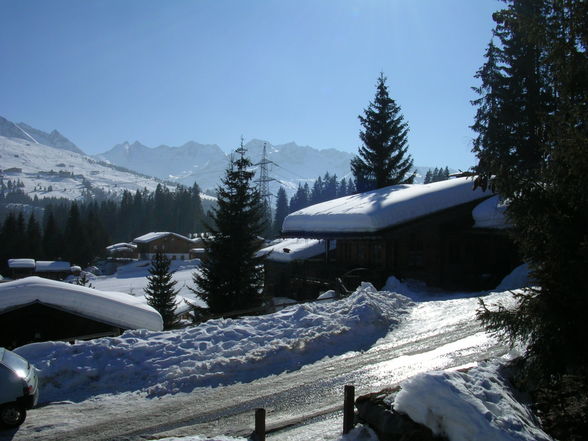 Schiurlaub Königsleiten + Kitzbühl 2008 - 