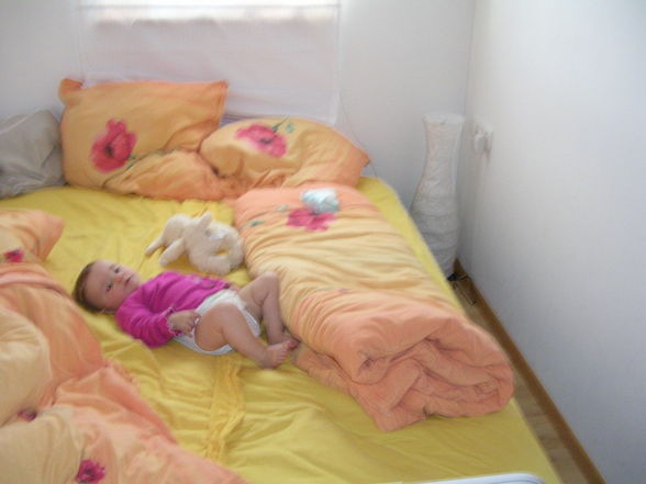 Schiurlaub Königsleiten + Kitzbühl 2008 - 